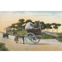 Roma Carretto Di Vino Antique Italian Postcard