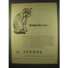 1954 Shell Teepol Detergent Ad - Behind the Ears