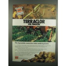 1984 Uniroyal Terraclor Soil fungicide Ad