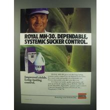 1984 Uniroyal Royal MH-30 Ad - Sucker Control