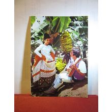 BANANA TREES, GRAN CANARIA, SPAIN used postcard dated 1976 =