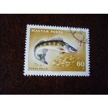 Hungary 1967 14th Int Anglers Fed Congress 60fi Zander used stamp SG2297 fish