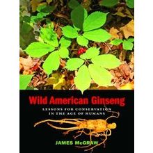 Wild American Ginseng