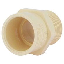 3/4 CTS CPVC MALE ADAPTR COLD WATER