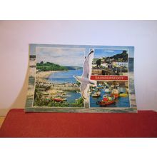 multiview, SAUNDERSFOOT, PEMBROKESHIRE used postcard by Constance 1981 pm =