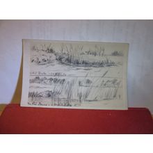 ON THE RIVER BURE, NORFOLK BROADS unused antique postcard =