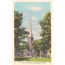 St Peters Cathedral Peterborough Ontario Canada Antique Postcard