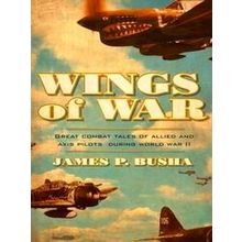 Wings of War: Great Combat Tales of Allied and Axis Pilots During World War II
