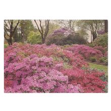 BATTLESTON HILL, RHS GARDENS, WISLEY used postcard 1982 postmark =
