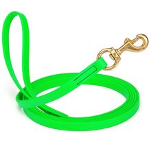 Dog Pet Leash Tropical Green w/ Brass Hardware W 5/8" - L10'