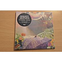 Night Moves – Pennied Days CD (2016) NEW.