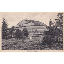 Milesburg Rhon Woman Farmer Antique German Postcard