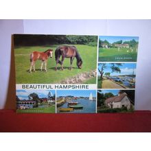 BEAUTIFUL HAMPSHIRE county. multiview unused postcard by J. Salmon dated 1978 /