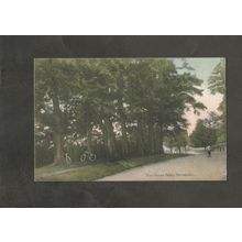 Postcard Kent Sevenoaks The Seven Oaks 1910