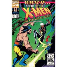 WHAT IF .. # 40 STORM HAD REMAINED A THEIF ?