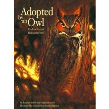Adopted By An Owl