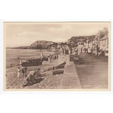 The Promenade Sidmouth Postcard Devon 108