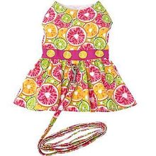 Citrus Slice Harness Dress with Matching Leash Xlarge