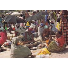 Soumbedioune African Fish Market Postcard