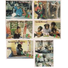 6 x Brook Bond Tea Cards THE SECRET DIARY OF KEVIN TIPPS. =