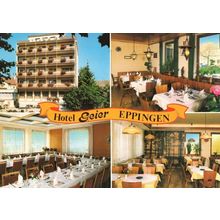 Hotel Geier Eppingen Restaurant Views Germany 1980s Postcard