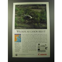 1992 Canon Color Laser Copier Advertisement - Saunder's Gull