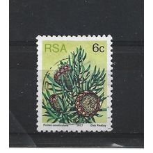 SouthAfrica.SG419 6c Protea Canaliculata.Fine Used.Sep25h