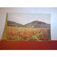 POPPYLAND, CROMER, NORFOLK. . unused vintage postcard by Faulkner =