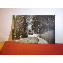BUSH HILL, PEMBROKE, Pembrokeshire, Wales used antique postcard dainty series =