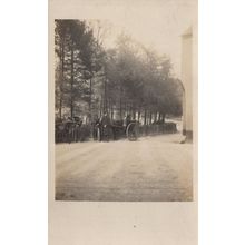 Horse & Cart Ride By Butler Servant For Lady of The Manor Antique Postcard