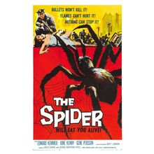 Spider 01 Poster Canvas Movie Film Print A0 A1 A2 A3 A4 A5 A6 Art Wall Decoratio