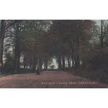 Hawk Craig Aberdour Avenue Antique Postcard