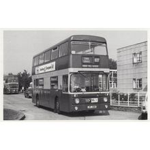 Burnt Mill School London Vintage PB Bus Postcard Photo
