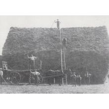 Flintham Nottingham Farm by WW1 Shop Keeper Card