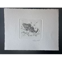 Belgique 1990 COB 2383 Epreuve d'artiste 1er jour FDC Poisson Fish Fisch Perche