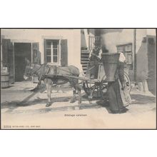 Attelage Valaisan, c.1905 - Edition Burgy CPA