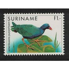 Suriname American Purple Gallinule Bird 1985 MNH SG#1248