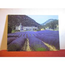 ABBAYE DE SENANQUE, GORDES, VAUCLUSE , FRANCE used postcard 2001 pm =
