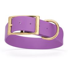 Dog Pet Collar with Brass Hardware Size L W 1.5” L 16” - 20” Amethyst Purple