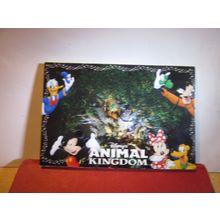 DISNEY'S ANIMAL KINGDOM, US unopened strip of 9 postcards $6.95 =