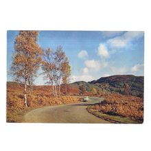 DUKE'S ROAD, ABERFOYLE used vintage postcard by J.Arthur Dixon 3555 =