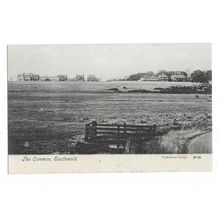 Southwold, The Common, Suffolk, Postcard.