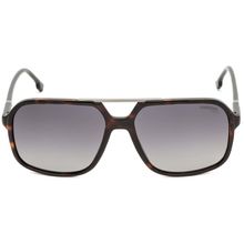CARRERA 229/S
