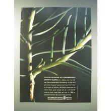1989 International Paper Ad - You're looking at a remarkable growth curve