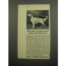 1951 Armour Dash Dog Food Ad - English Setter - Wins best of breed award