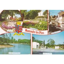Montendre Le Pins Grande Rue Forest Lake French Postcard