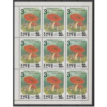Corée 2006 Mi. 5052 sheet OVERPRINT flora Mushroom Champignon Pilz MNH RARE