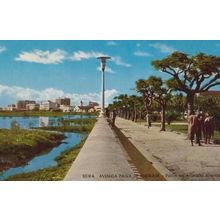 Beira Avenida Andrade Avenue Mozambique African Postcard