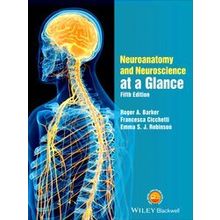 Neuroanatomy and Neuroscience at a Glance