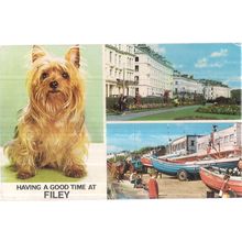 multiview, FILEY, YORKSHIRE unused vintage postcard Colourmaster terrier dog #